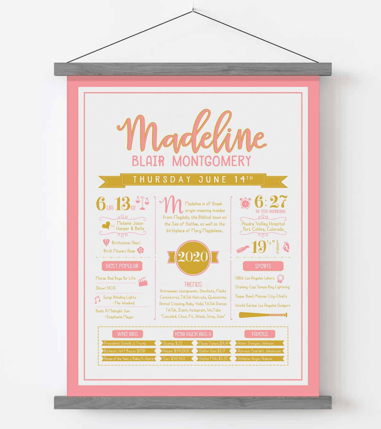 Gray Magnetic Frame / Pink & Gold Print