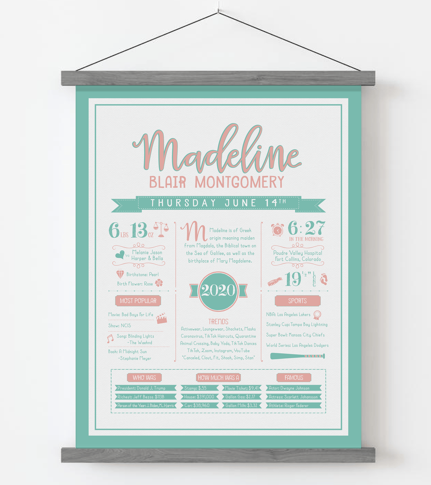 Gray Magnetic Frame / Peachy Pink & Aqua Print