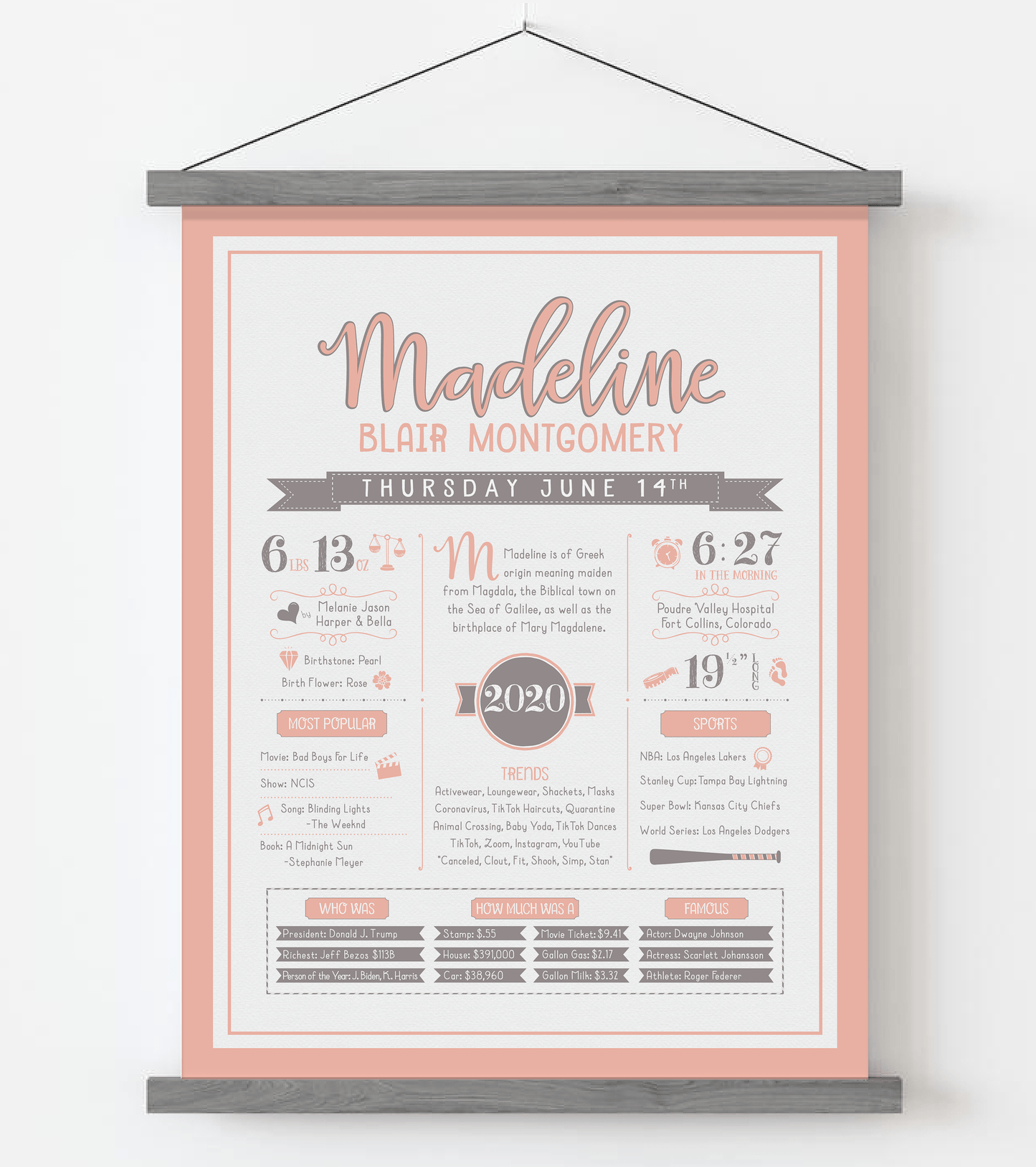 Gray Magnetic Frame / Peach & Brown Print