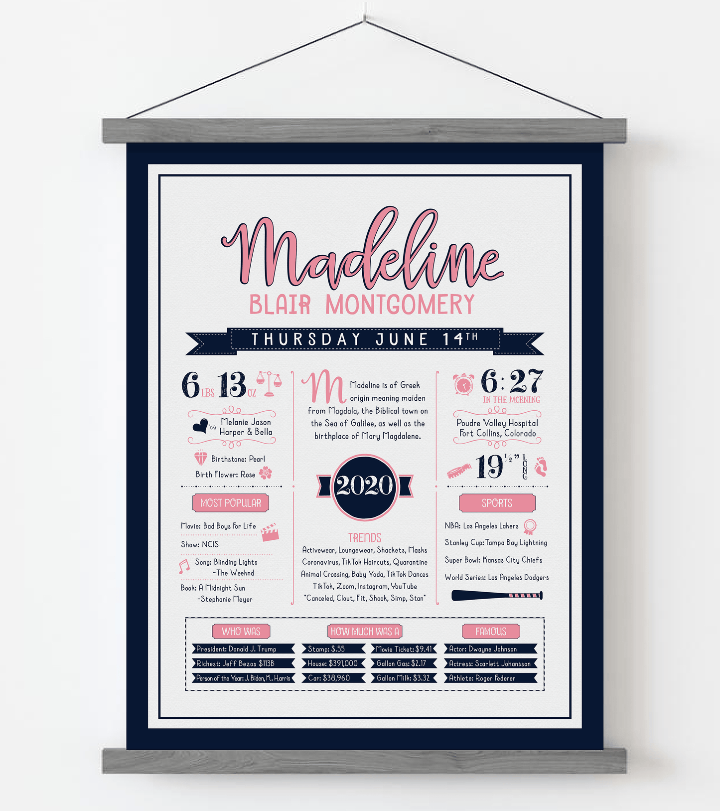 Gray Magnetic Frame / Pink & Navy Print
