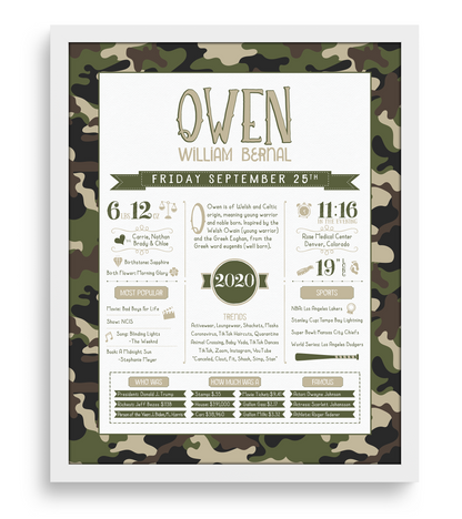 White Frame / Green