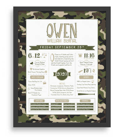 Black Frame / Green