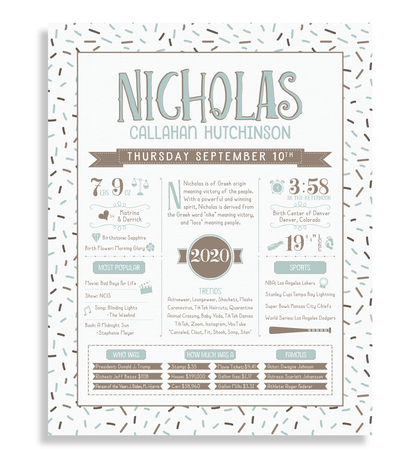 No Frame / Mint Blue & Brown Print