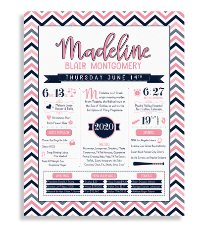 No Frame / Pink & Navy Print