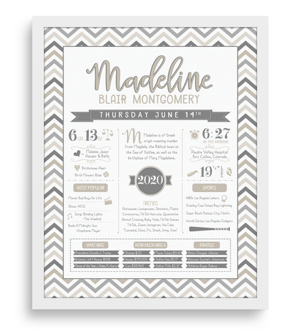 White Frame / Gray & Beige Print