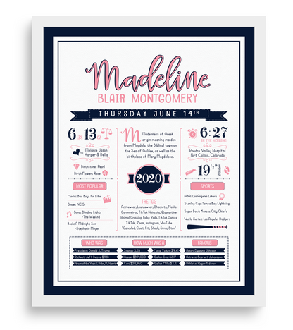 White Frame / Pink & Navy Print