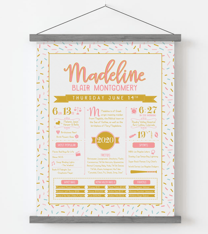 Gray Magnetic Frame / Pink & Gold Print