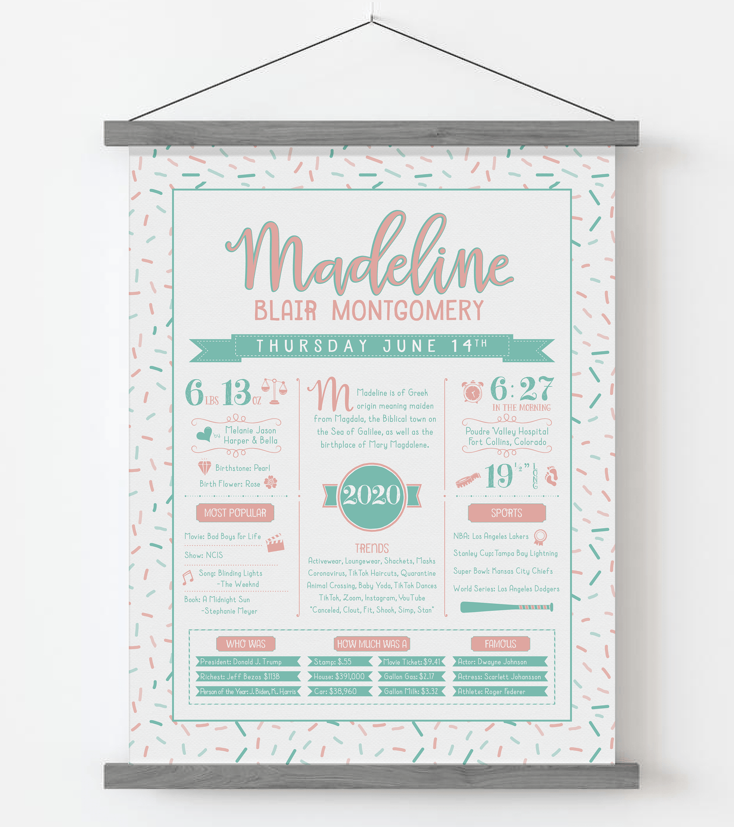 Gray Magnetic Frame / Peachy Pink & Aqua Print