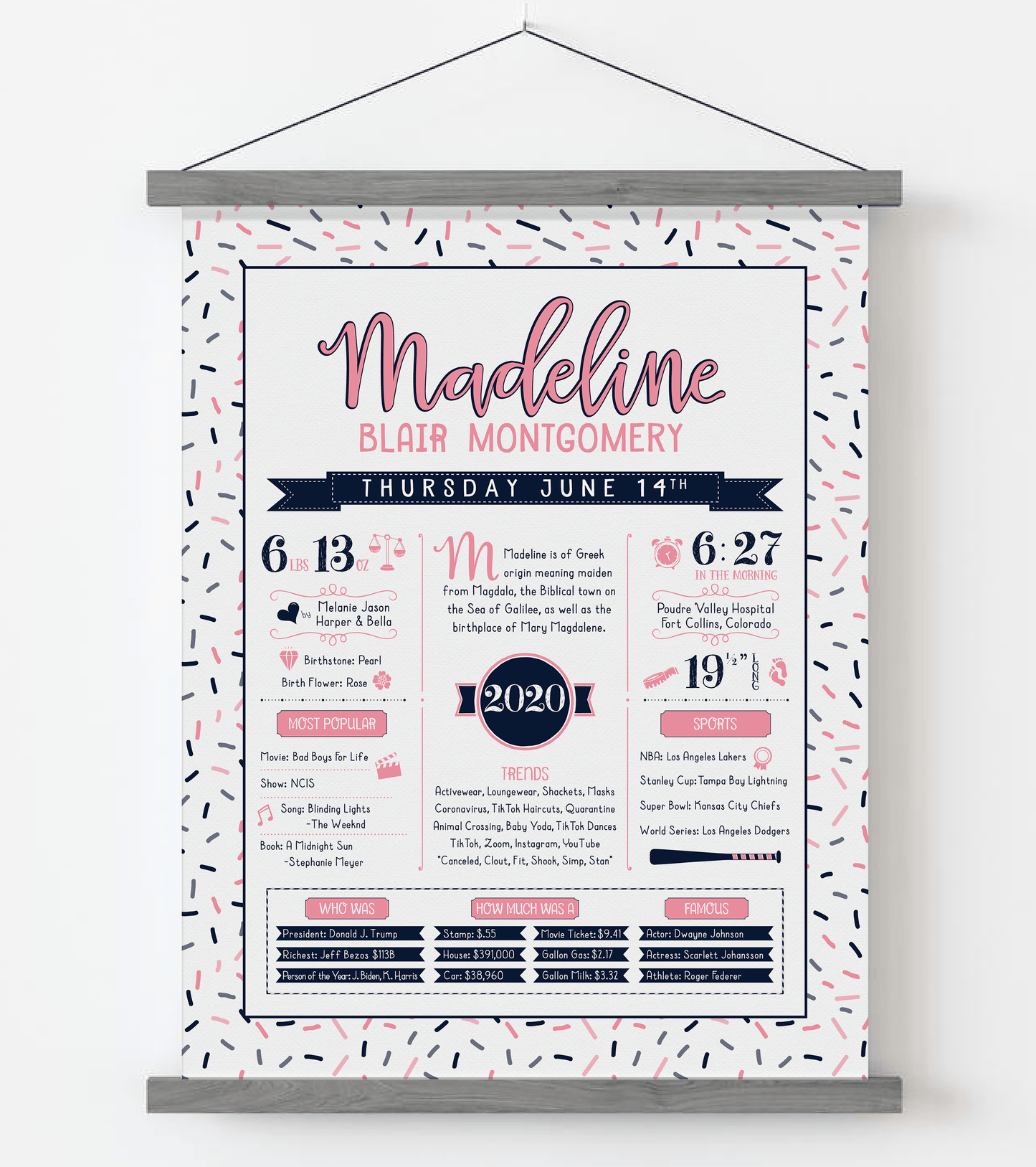 Gray Magnetic Frame / Pink & Navy Print