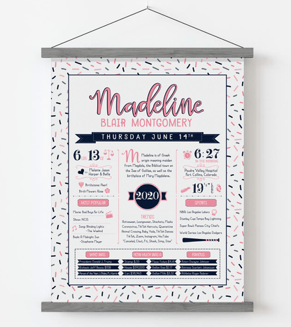 Gray Magnetic Frame / Pink & Navy Print