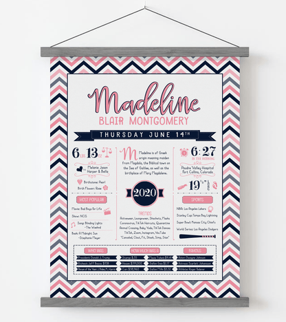 Gray Magnetic Frame / Pink & Navy Print