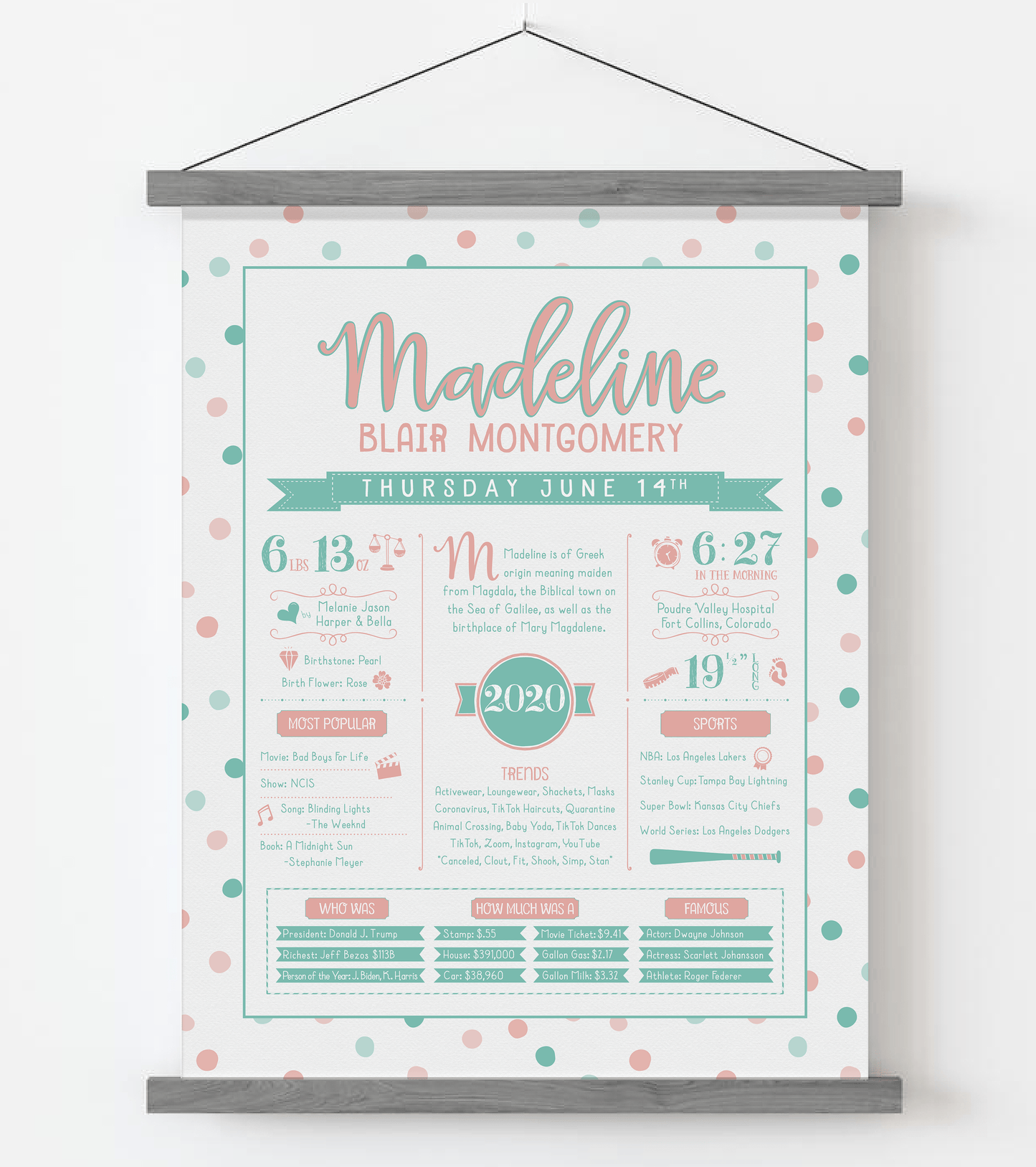 Gray Magnetic Frame / Peachy Pink & Aqua Print