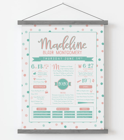 Gray Magnetic Frame / Peachy Pink & Aqua Print