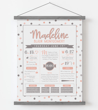 Gray Magnetic Frame / Peach & Brown Print