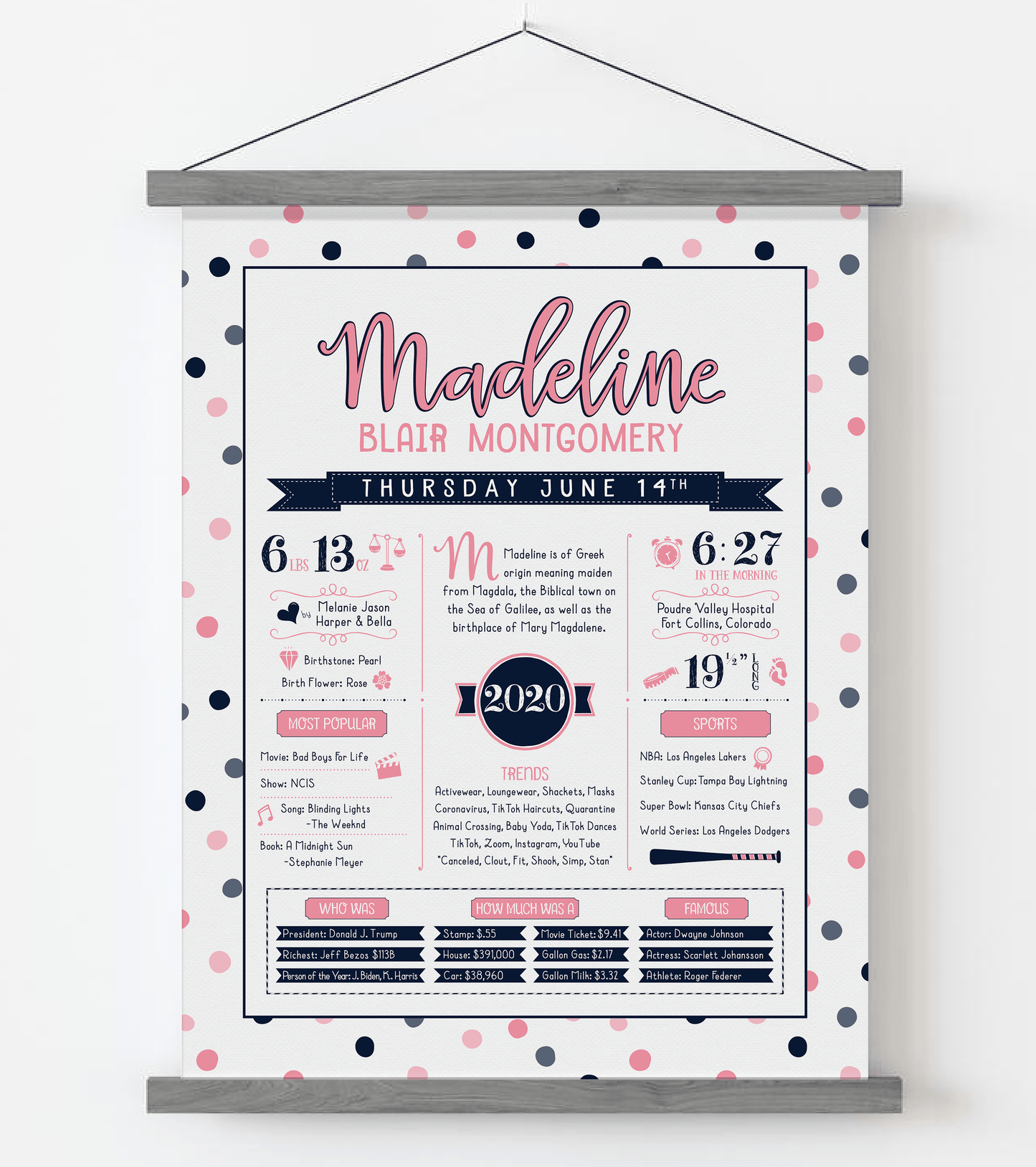 Gray Magnetic Frame / Pink & Navy Print