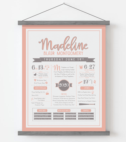 Gray Magnetic Frame / Peach & Brown Print