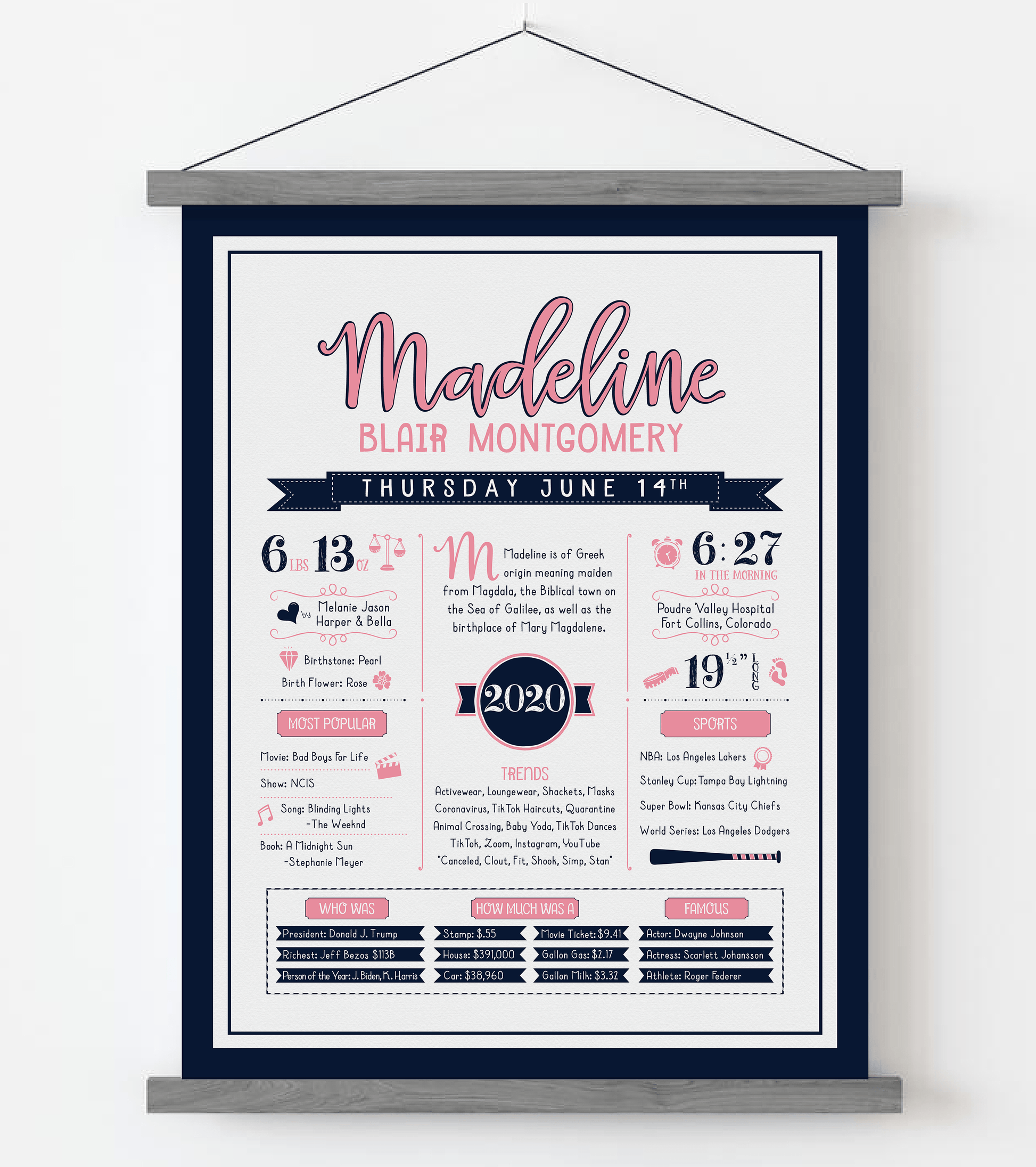Gray Magnetic Frame / Pink & Navy Print