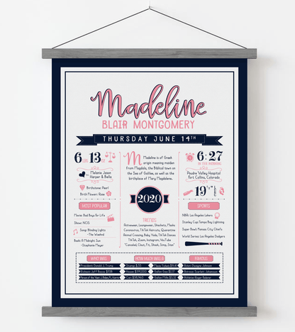 Gray Magnetic Frame / Pink & Navy Print